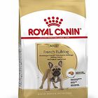 Royal Canin - Croquettes Bouledogue Français pour Chien Adulte - 3Kg image number null