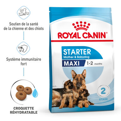Royal Canin - Croquettes Maxi Starter Mother & Babydog pour Chiot