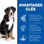 Hill's Science Plan - Adult Croquettes Pour Grand Chien A L'agneau Et Riz  - 12kg Indicateur image numéro 3
