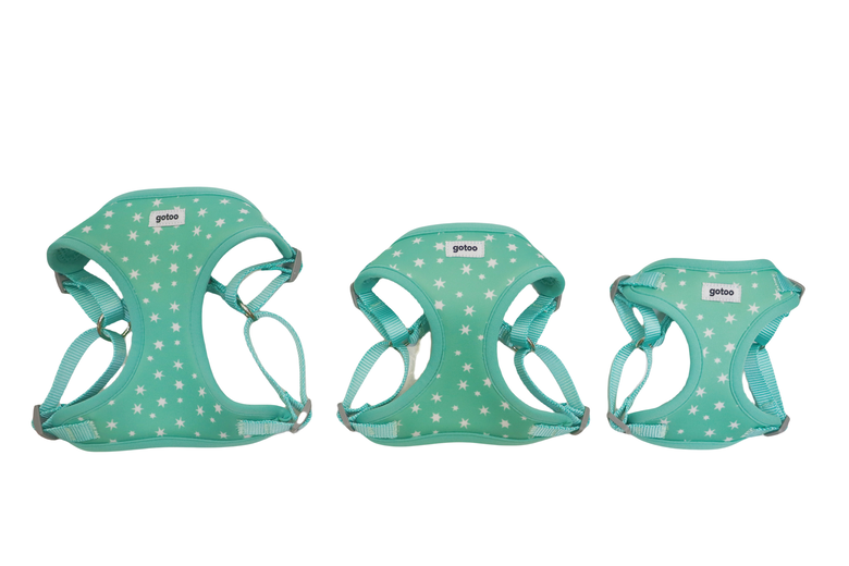 Gotoo - Harnais Etoiles Bleu pour Chiot - XXS Image numéro 5 Gotoo - Harnais Etoiles Bleu pour Chiot - XXS Image numéro 5