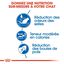Royal Canin - Croquettes Indoor 27 Chat d'Intérieur pour Chat Adulte - 4Kg Indicateur image numéro 4