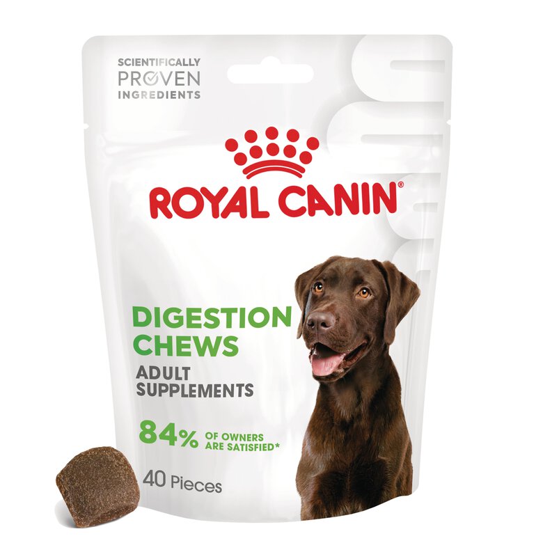 Royal Canin - Aliment Complémentaire Adult Digestion Chews pour Chiens - 160g Image numéro 3 Royal Canin - Aliment Complémentaire Adult Digestion Chews pour Chiens - 160g Image numéro 3