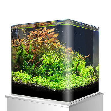 Amtra - Cuve Nanotank 60 - 38x38x43cm