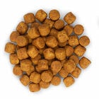 Hill's Science Plan - Croquettes Advanced Fitness Large Adult Poulet pour Chien - 18Kg image number null