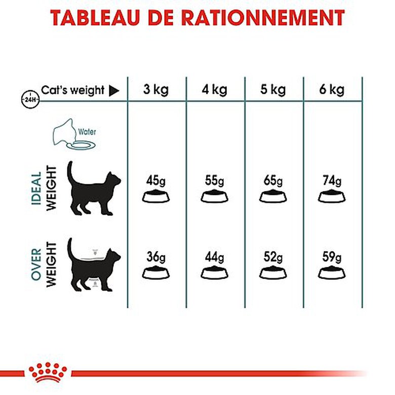 Royal Canin - Croquettes Hairball Care pour Chat - 4Kg image number null