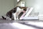Sure PetCare - Distributeur SureFeed à puce Électronique Connect pour Chat Indicateur image numéro 5