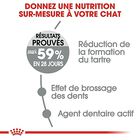 Royal Canin - Croquettes Dental Sensitive Care pour Chat - 1,5Kg image number null