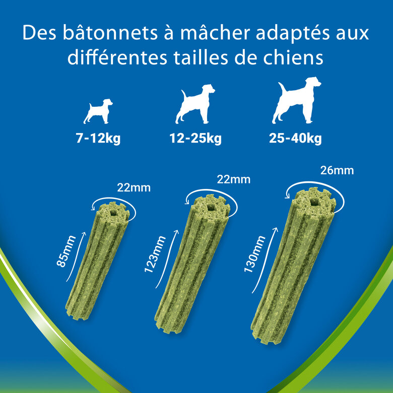 DENTALIFE - Friandises à mâcher ACTIVFRESH bucco-dentaire pour Chiens Moyens - 115g Image numéro 7 DENTALIFE - Friandises à mâcher ACTIVFRESH bucco-dentaire pour Chiens Moyens - 115g Image numéro 7
