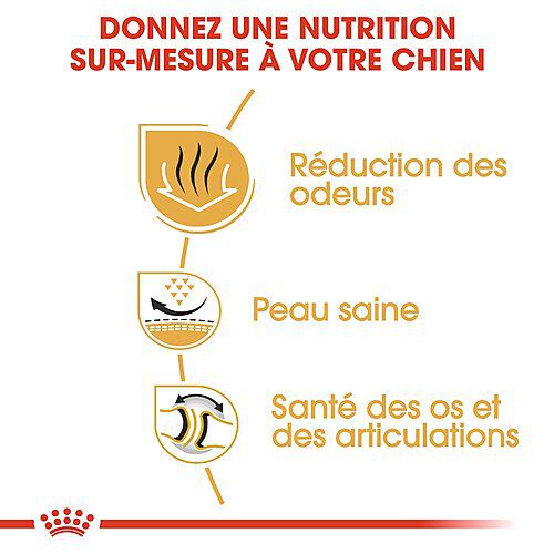 Royal Canin - Croquettes Bulldog pour Chien Adulte - 12Kg Image num&eacute;ro 5