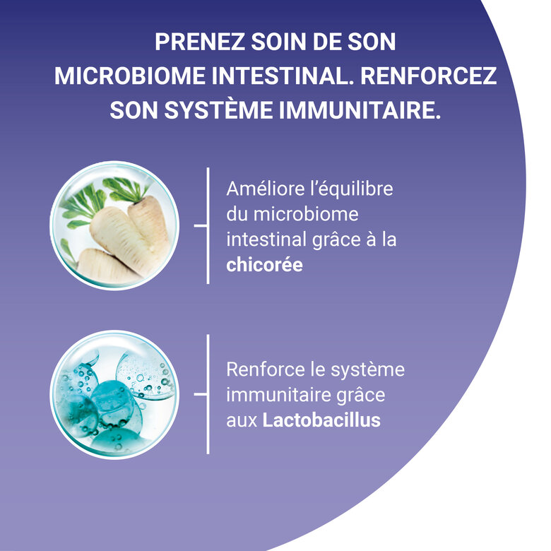 Purina One - Croquettes au Boeuf et Céréales pour Chat Adulte - 1,5Kg Image numéro 6 Purina One - Croquettes au Boeuf et Céréales pour Chat Adulte - 1,5Kg Image numéro 6
