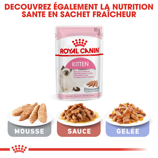 Royal Canin Kitten - 10Kg - Croquettes Chat - Alimentation Royal