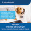 PetSafe - Système d'Aide à l'Education pour Chiens - 100m Indicateur image numéro 10