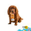 Summer Vibes - Peluche Cocktail "Pawperol" pour Chiens - 25cm Indicateur image num&eacute;ro 1