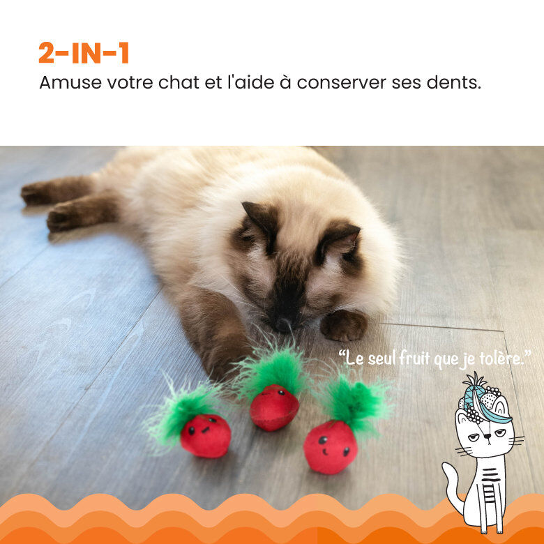 Outward Hound - Lot de 3 Jouets Straw-Babies pour Chats Image num&eacute;ro 3