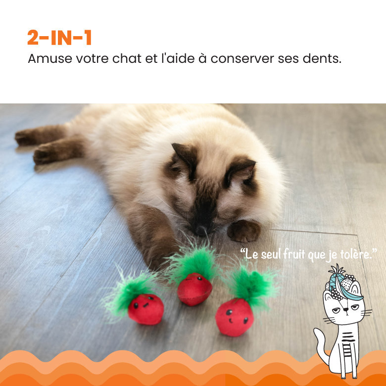 Outward Hound - Lot de 3 Jouets Straw-Babies pour Chats Image numéro 3 Outward Hound - Lot de 3 Jouets Straw-Babies pour Chats Image numéro 3