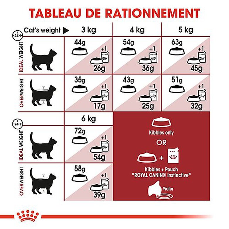Royal Canin - Croquettes Fit 32 pour Chat Adulte image number null