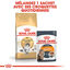 Royal Canin - Croquettes Norwegian Adult pour Chat - 2Kg Indicateur image numéro 5