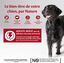 Wellness CORE - Repas Complet 95% de Bœuf pour Chien - 400g Indicateur image numéro 3