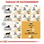 Royal Canin - Croquettes Persian pour Chat Adulte à partir de 12 Mois - 4Kg Indicateur image numéro 7