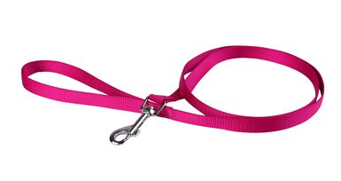 Animalis - Laisse Basic pour Chien Fuchsia