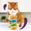 Edgard & Cooper - Multipack Pâtée Morceaux en Sauce pour Chat - 8x85g Indicateur image numéro 3