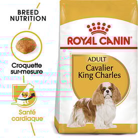 Royal Canin - Croquettes Cavalier King Charles Adult - 1,5Kg