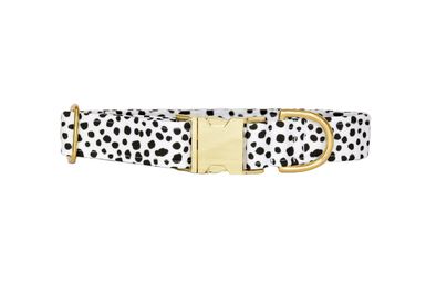 Pompon and Pets - Collier Pongo pour Chiens