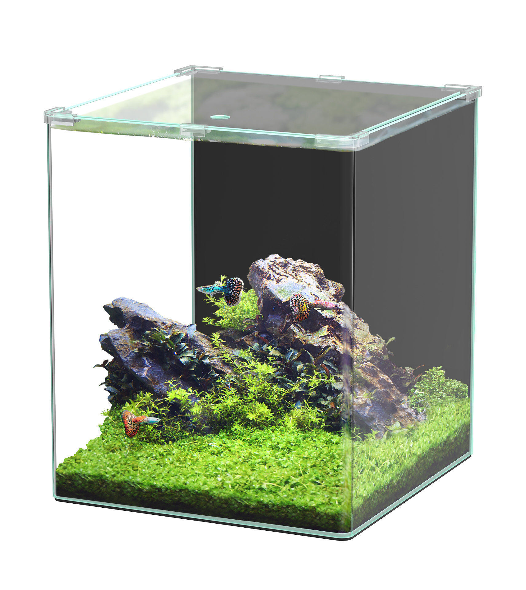 Aquatlantis - Aquarium Kubus Curve 65L - Basic Image num&eacute;ro 1