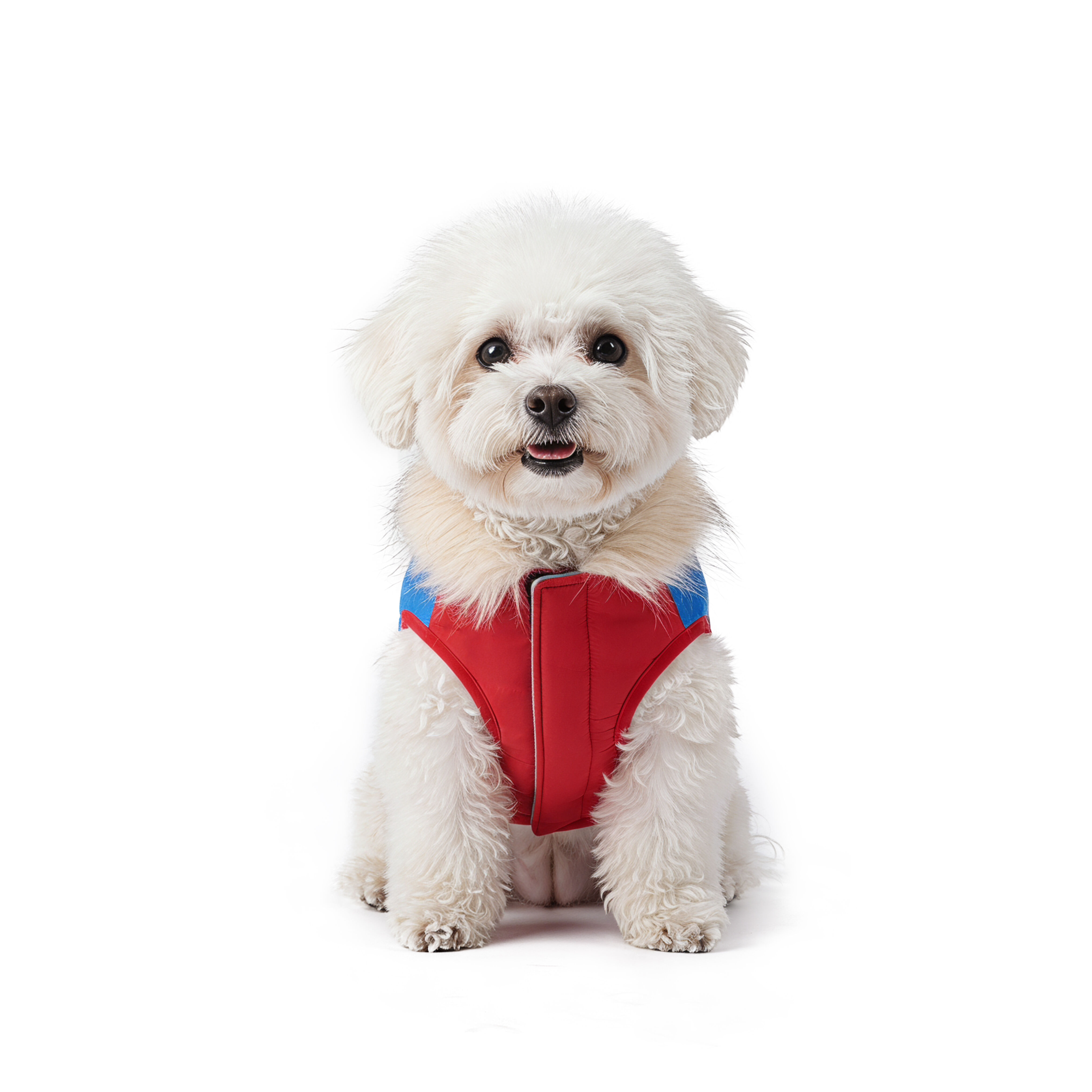 Gotoo - Manteau Imperm&eacute;able Rouge et Bleu pour Chiens - 30cm Image num&eacute;ro 15