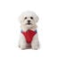 Gotoo - Manteau Imperm&eacute;able Rouge et Bleu pour Chiens - 30cm Indicateur image num&eacute;ro 15