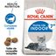 Royal Canin - Croquettes Indoor 7+ pour Chat Senior - 3,5Kg Indicateur image numéro 1