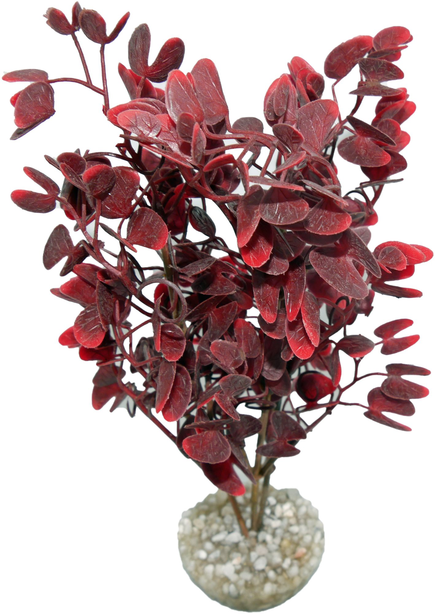 Labeo - Plante D&eacute;corative Micranthenum BGY pour Aquarium Image num&eacute;ro 1