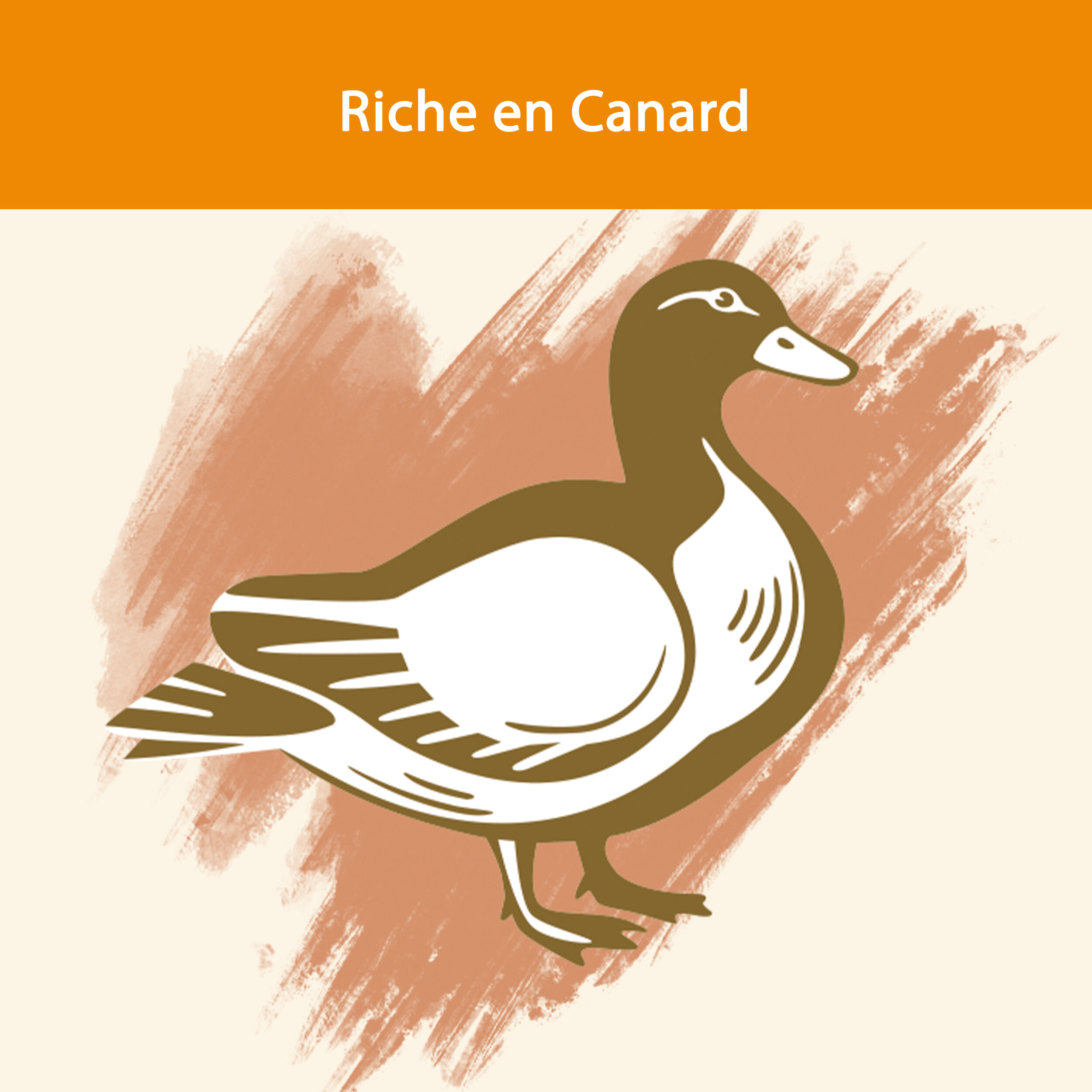 Cat Chow - Croquettes Adult Riche en Canard pour Chats - 10Kg Image num&eacute;ro 8