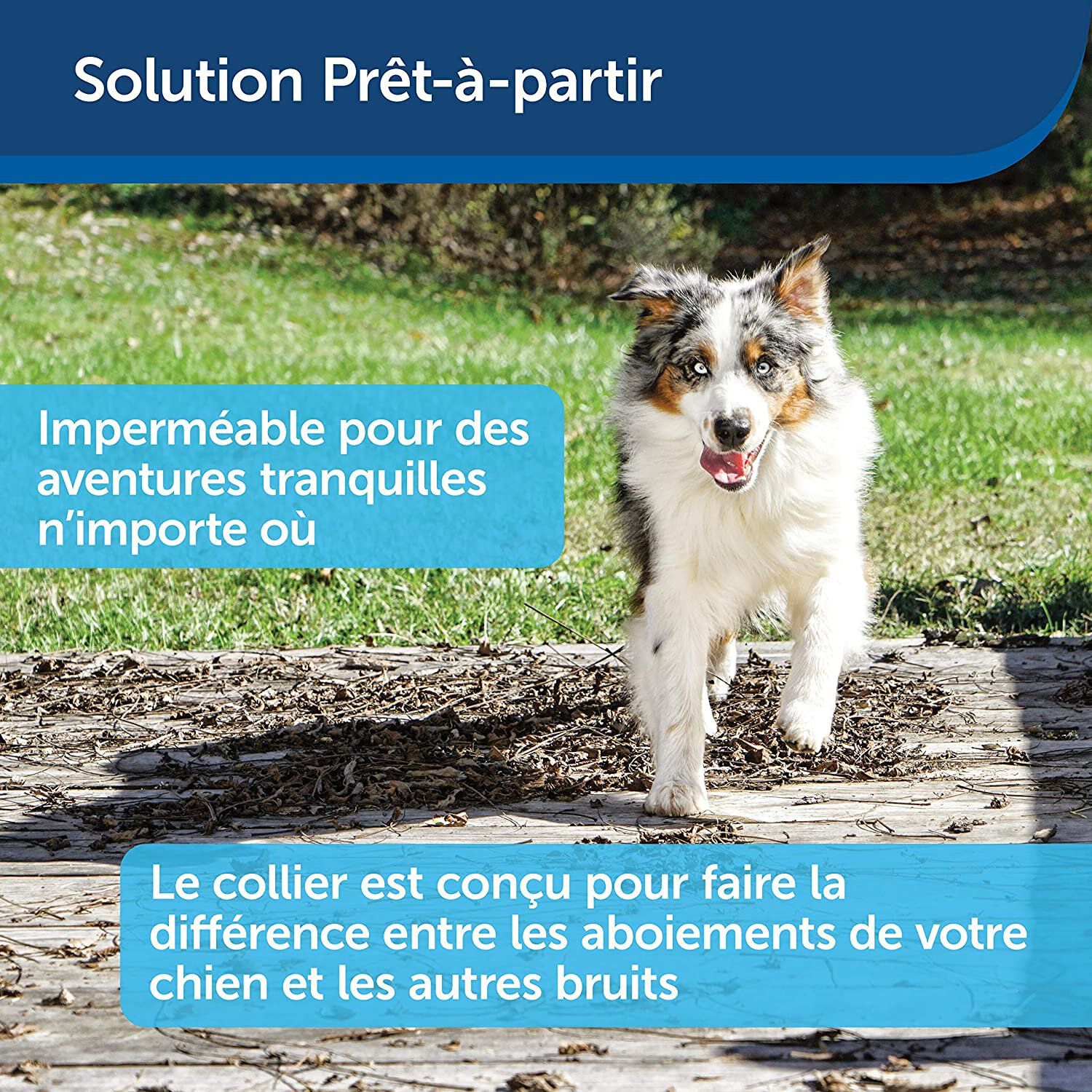 PetSafe - Collier Anti-Aboiement Moyens et Grands Chiens Image num&eacute;ro 5