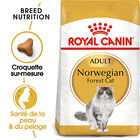 Royal Canin - Croquettes Norwegian Adult pour Chat - 2Kg image number null
