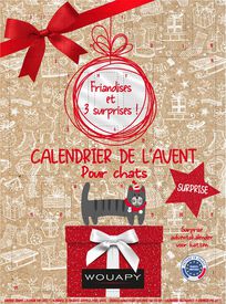 Wouapy - Calendrier de l'Avent Surprise - Chat