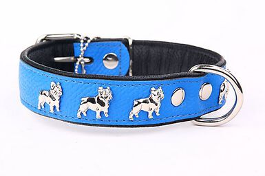 Yogipet - Collier Super Bouledogue Français Cuir pour Chien - Bleu