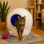 EZIclean - Liti&egrave;re Robot Autonettoyante CATBOT K10i pour Chats - x1 Indicateur image num&eacute;ro 2