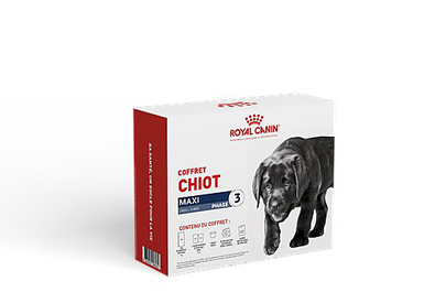 Royal Canin - Coffret Puppy Maxi pour Chiot de Grande Race - 1Kg