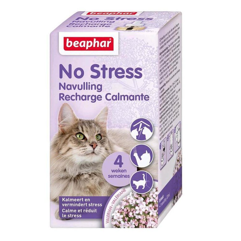 Beaphar - Recharge Calmant 30J No Stress pour Chat - 30ml Image numéro 1 Beaphar - Recharge Calmant 30J No Stress pour Chat - 30ml Image numéro 1
