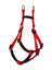 Animalis - Harnais Basic Confort Rouge pour Chien - T2 20mm et 57/75cm Indicateur image num&eacute;ro 2