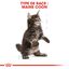 Royal Canin - Croquettes Maine Coon pour Chaton - 4Kg Indicateur image numéro 6