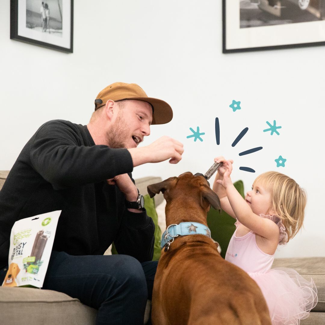 Edgard & Cooper - Sticks &agrave; M&acirc;cher Dental Naturel &agrave; la Menthe et Fraise fraiche pour Chien - L Image num&eacute;ro 3