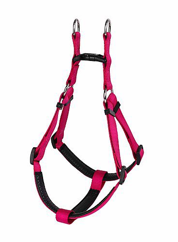Animalis - Harnais Basic Confort Fuchsia pour Chien - T1 15mm et 45/57cm Image num&eacute;ro 2