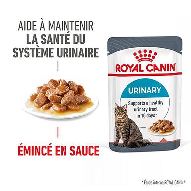 Royal Canin - Sachets Urinary Care en Sauce pour Chat - 12x85g