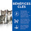 Hill's Science Plan - Kitten Perfect Digestion croquettes pour chaton - 1,5kg Indicateur image numéro 3