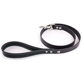 Martin Sellier - Laisse Flash Noir/Turquoise pour Chiens