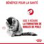 Royal Canin - Sachets Hairball Care en Sauce pour Chat - 12x85g Indicateur image numéro 3