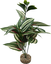 Labeo - Plante Verte Assortie Décorative pour Terrarium Indicateur image numéro 2