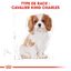 Royal Canin - Croquettes Cavalier King Charles Junior pour Chiot - 1,5Kg Indicateur image numéro 6